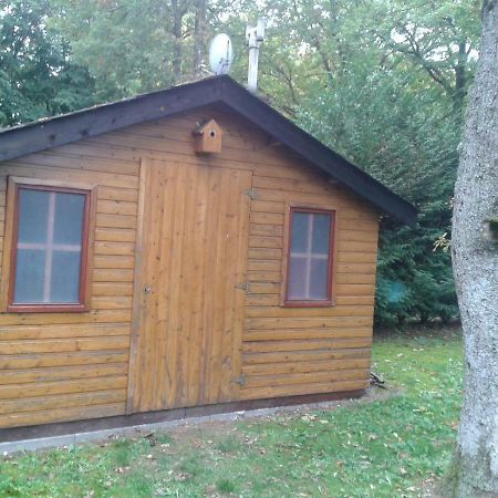 Chalet Imme Vila Resteigne Exterior foto